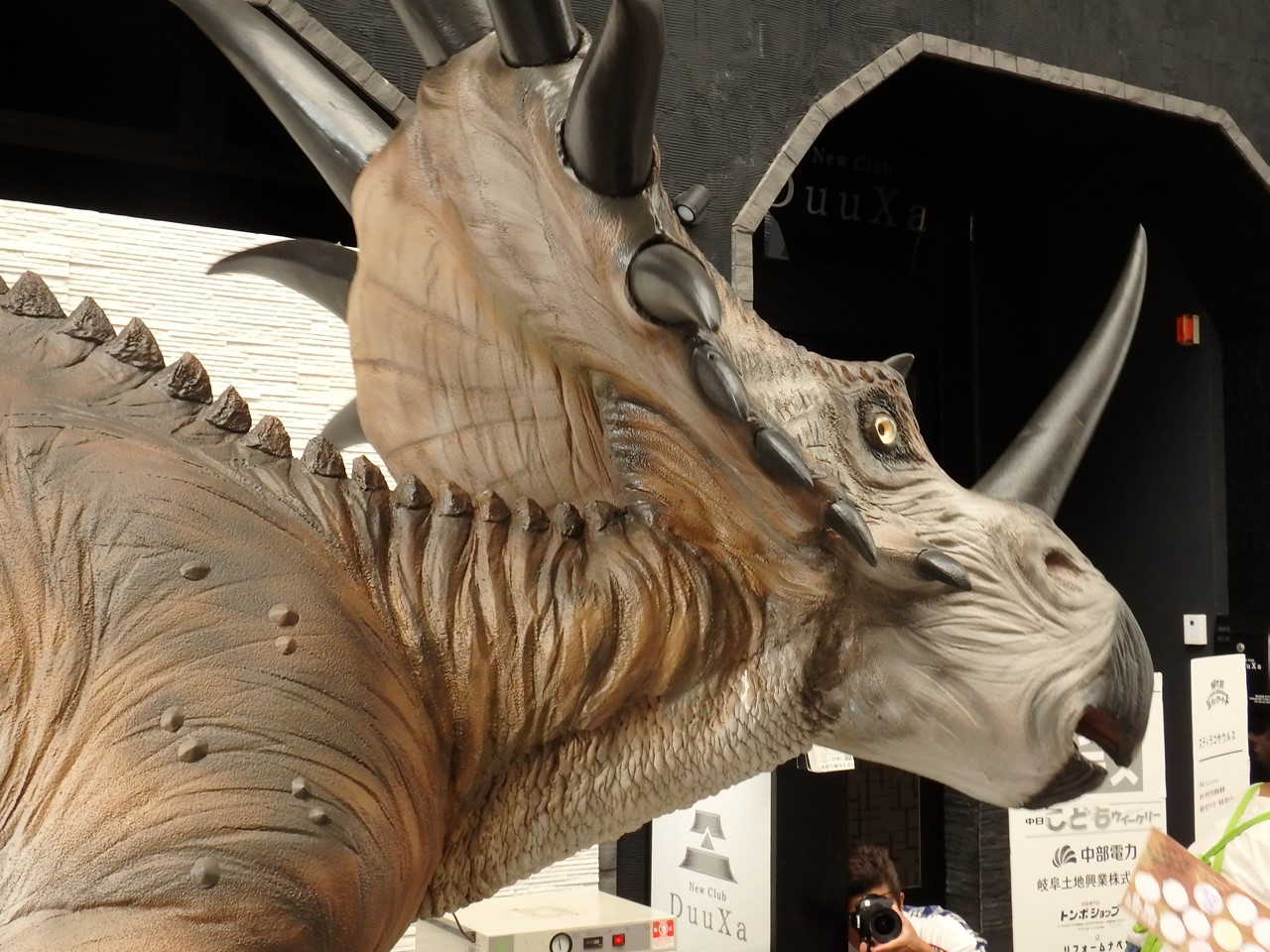 d0054276_20114617.jpg