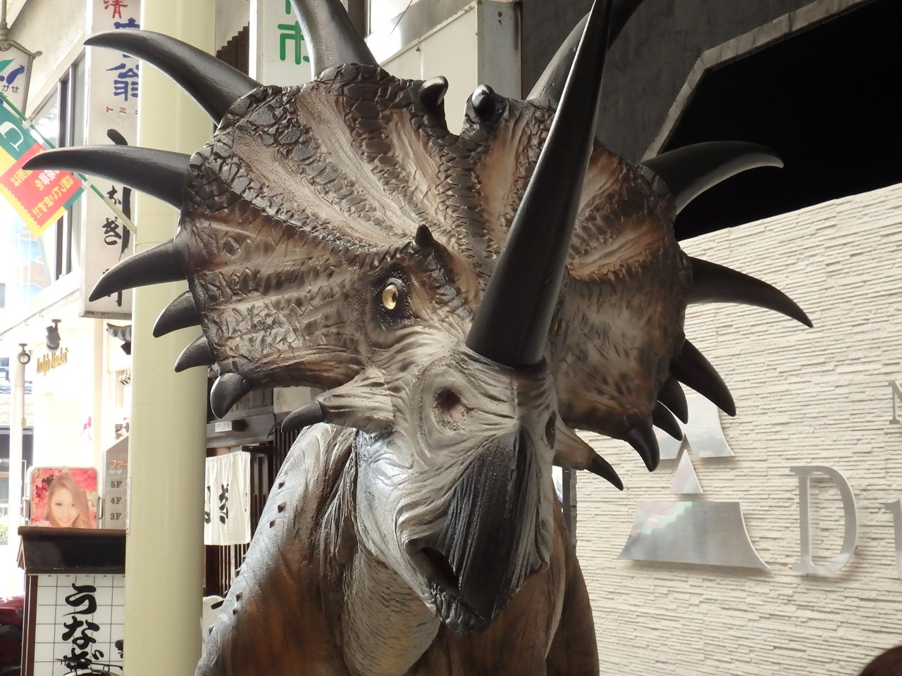 d0054276_2012250.jpg