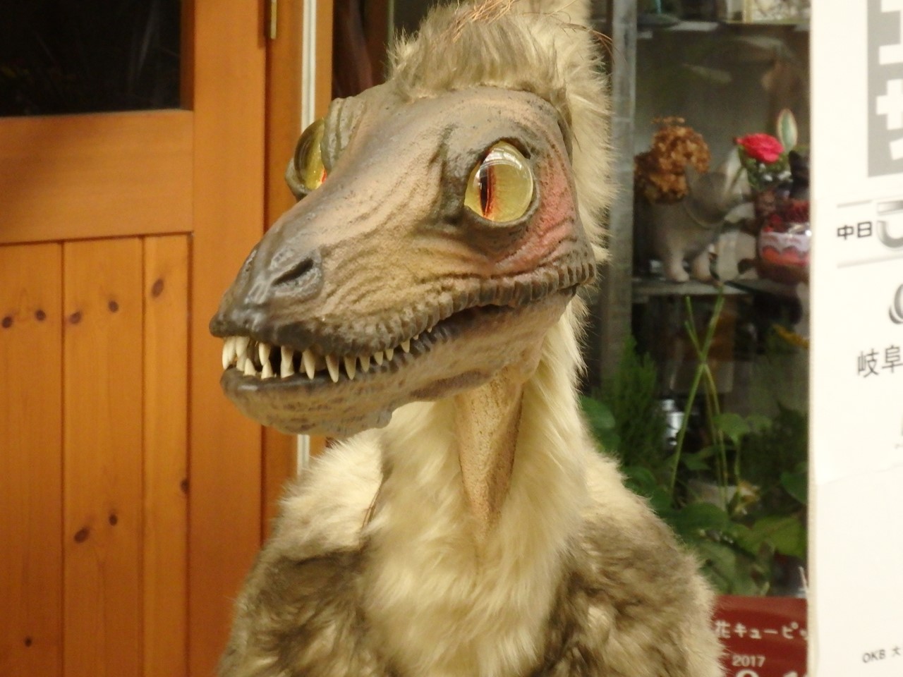 d0054276_2013027.jpg