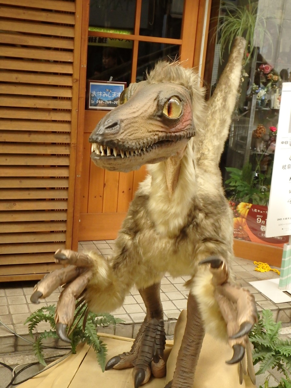 d0054276_20132493.jpg