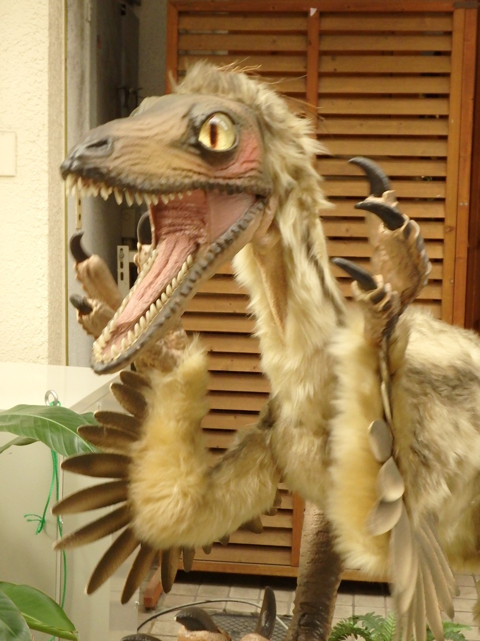 d0054276_20133645.jpg