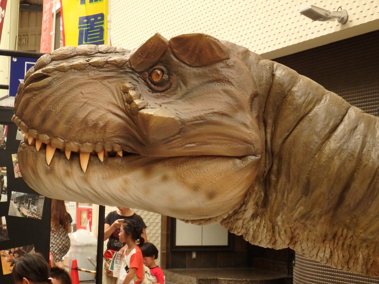 d0054276_20145171.jpg