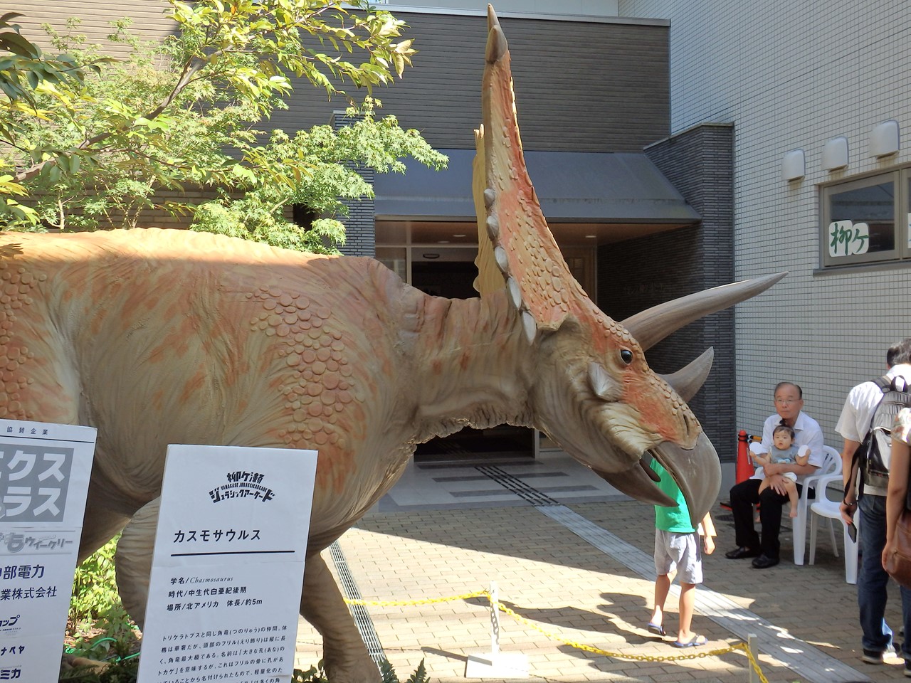 d0054276_2064437.jpg