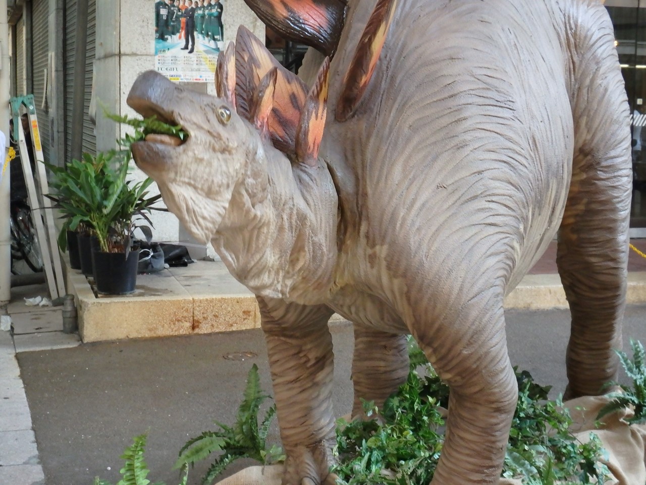 d0054276_2081140.jpg