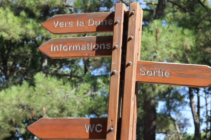 f0136579_20364300.jpg