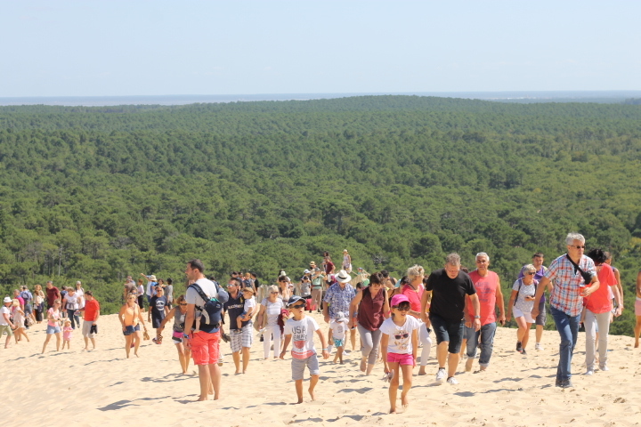f0136579_20430113.jpg