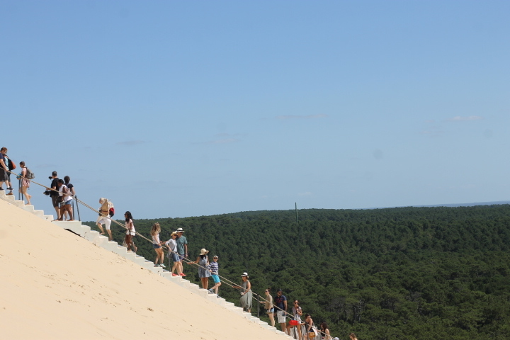 f0136579_20450110.jpg
