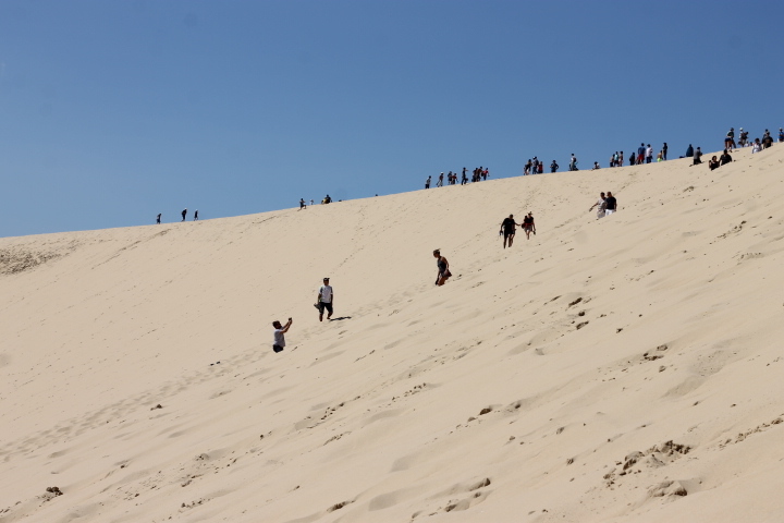 f0136579_20452090.jpg