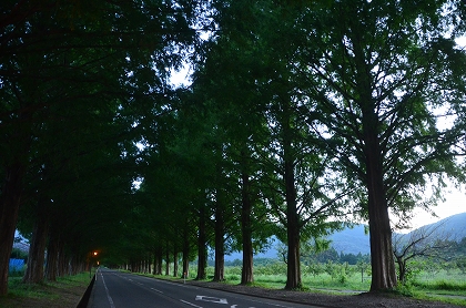 c0229483_13205162.jpg