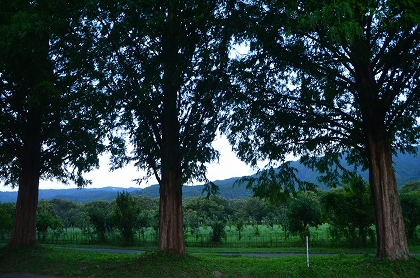 c0229483_1321584.jpg