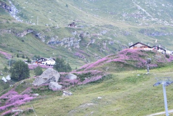 c0144185_145753.jpg