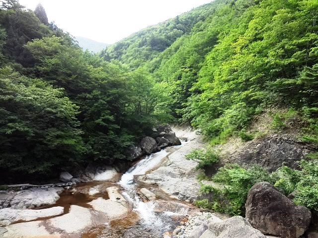 f0017185_9475451.jpg