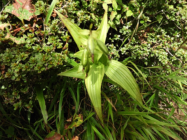 f0357487_21162859.jpg