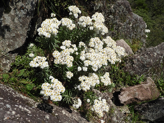 f0357487_22161036.jpg