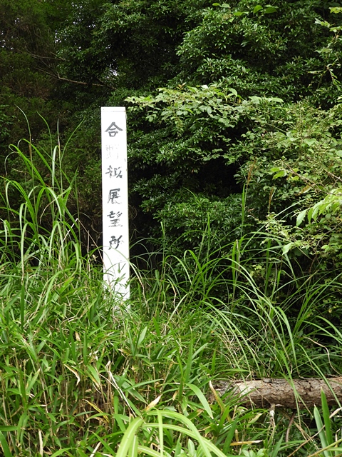 f0357487_2226993.jpg