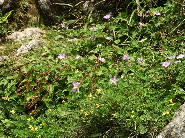 f0357487_2243240.jpg