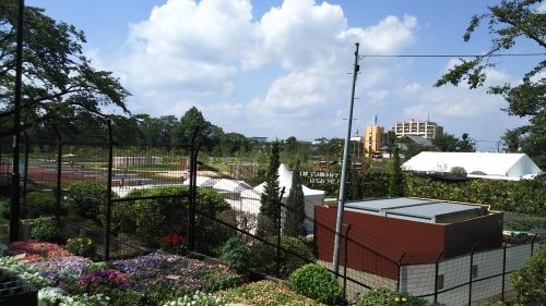 c0340689_19104631.jpg