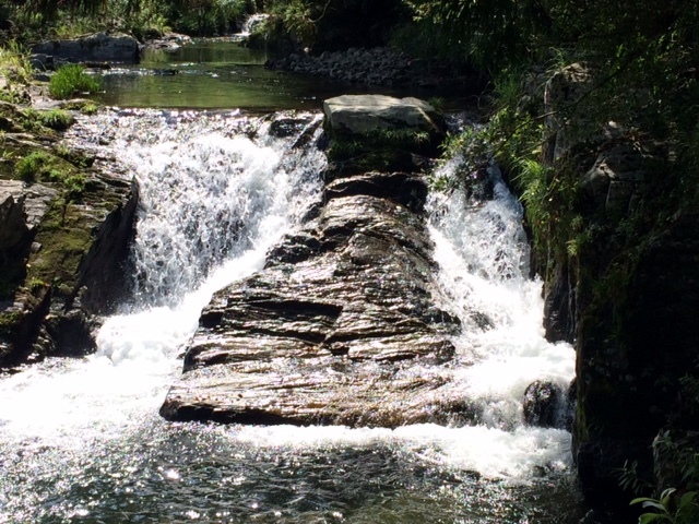 e0094589_04494229.jpg