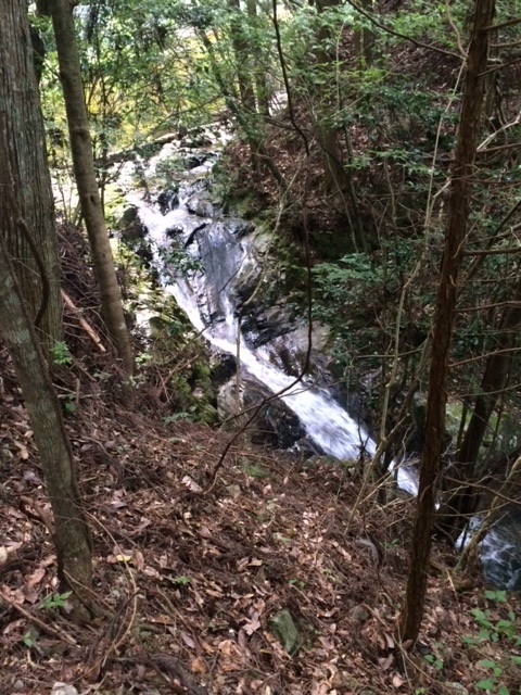 e0094589_04562943.jpg