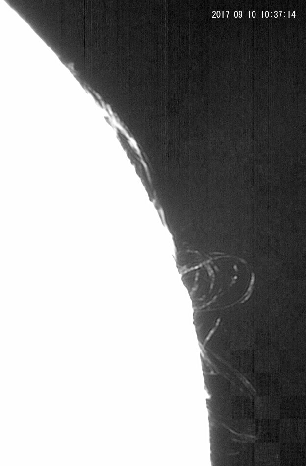 e0174091_13593027.jpg