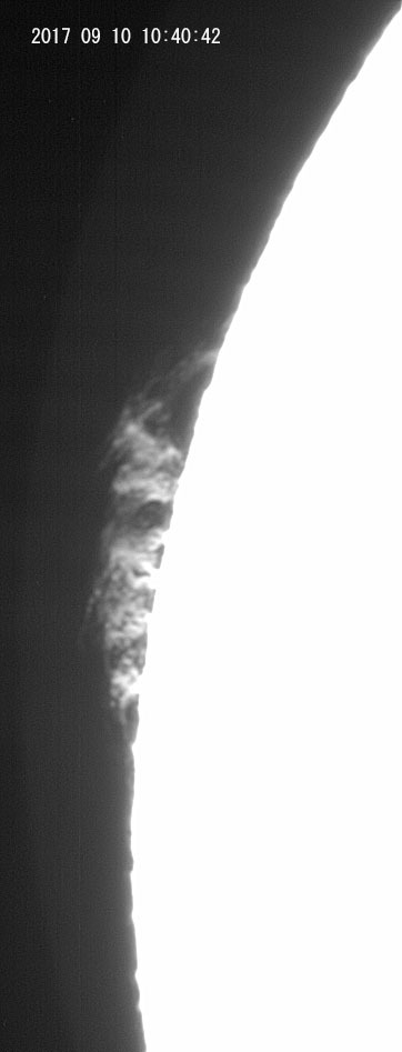 e0174091_13593947.jpg
