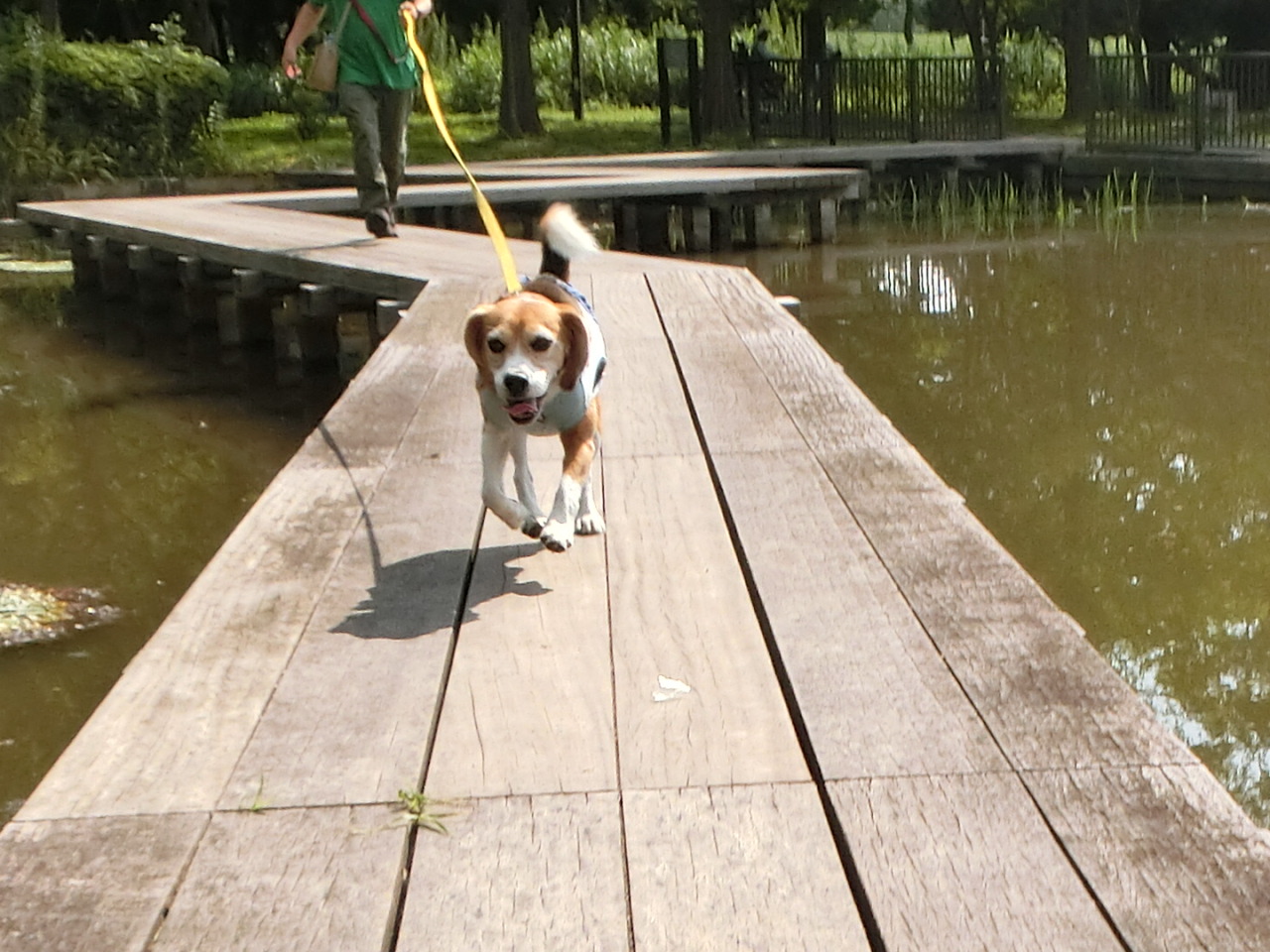 a0319693_7285260.jpg