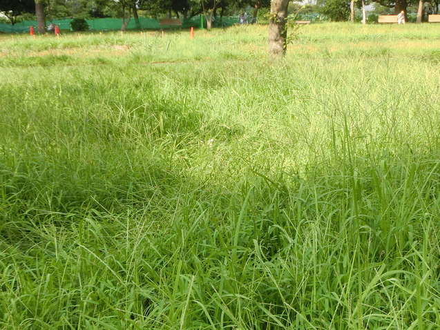 a0319693_7304989.jpg