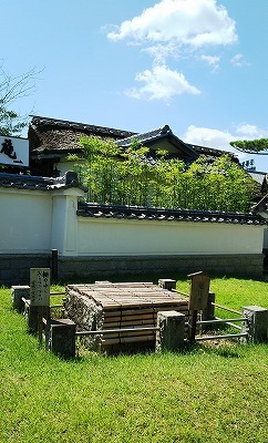 b0205694_10105640.jpg