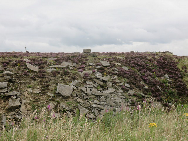 f0346196_16541046.jpg