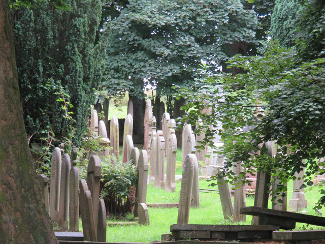 f0346196_20065707.jpg