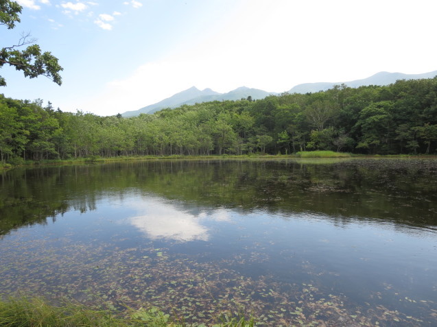 f0013998_08173087.jpg