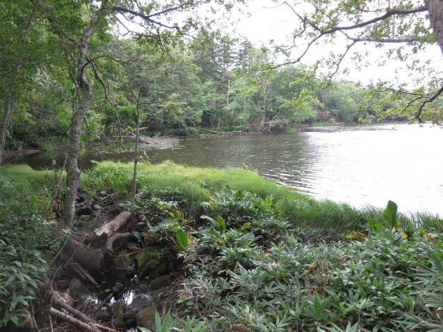 f0013998_08175966.jpg