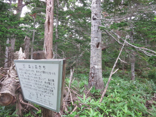 f0013998_08181540.jpg