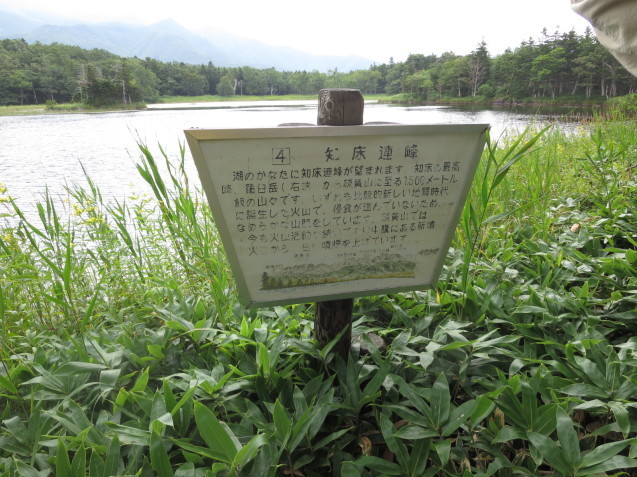 f0013998_08184127.jpg