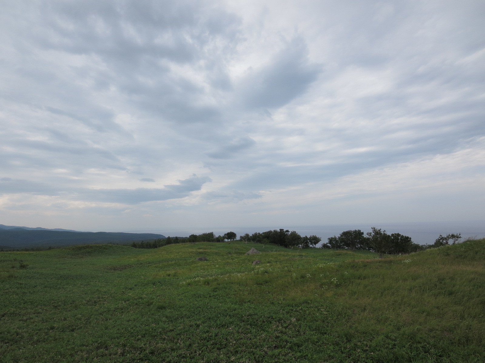 f0013998_08190407.jpg