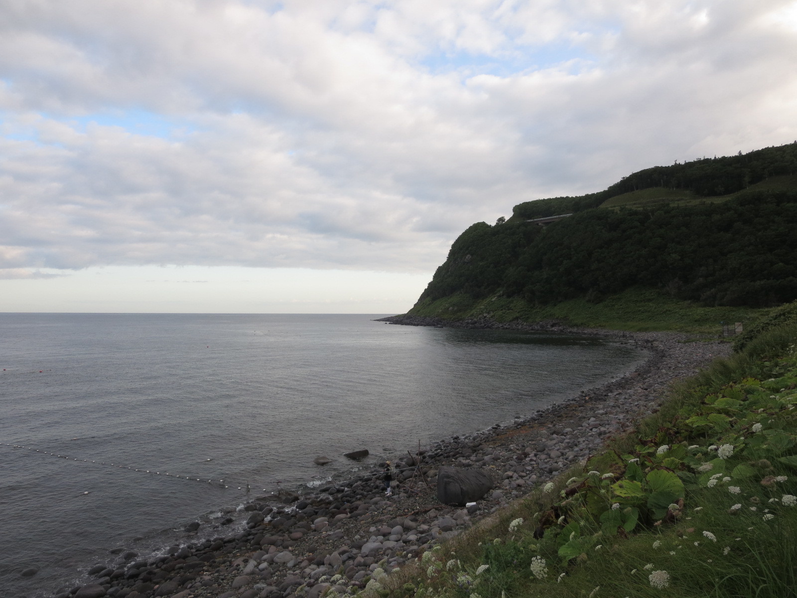 f0013998_08411972.jpg