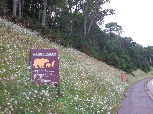 f0013998_08422456.jpg