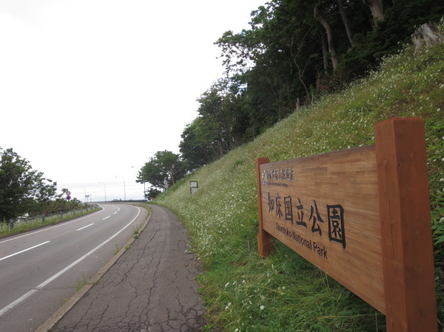f0013998_08423049.jpg