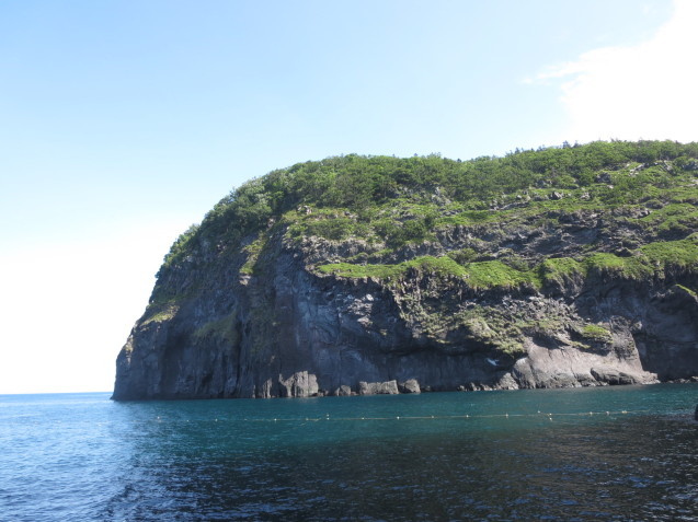 f0013998_08450438.jpg