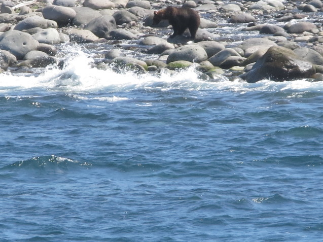 f0013998_08454824.jpg