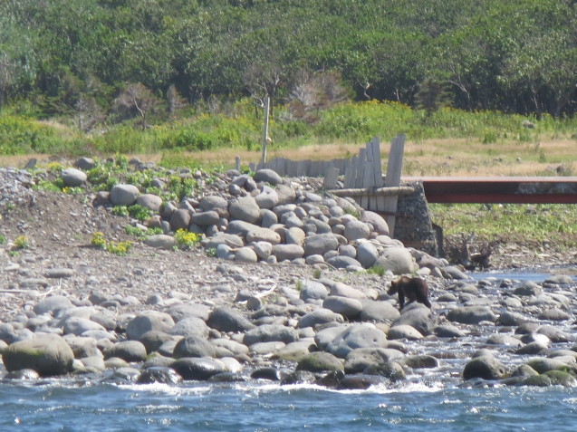 f0013998_08455523.jpg