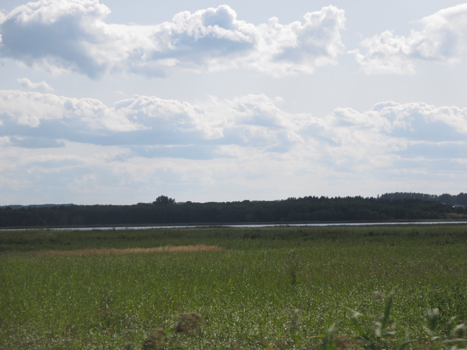 f0013998_08475787.jpg