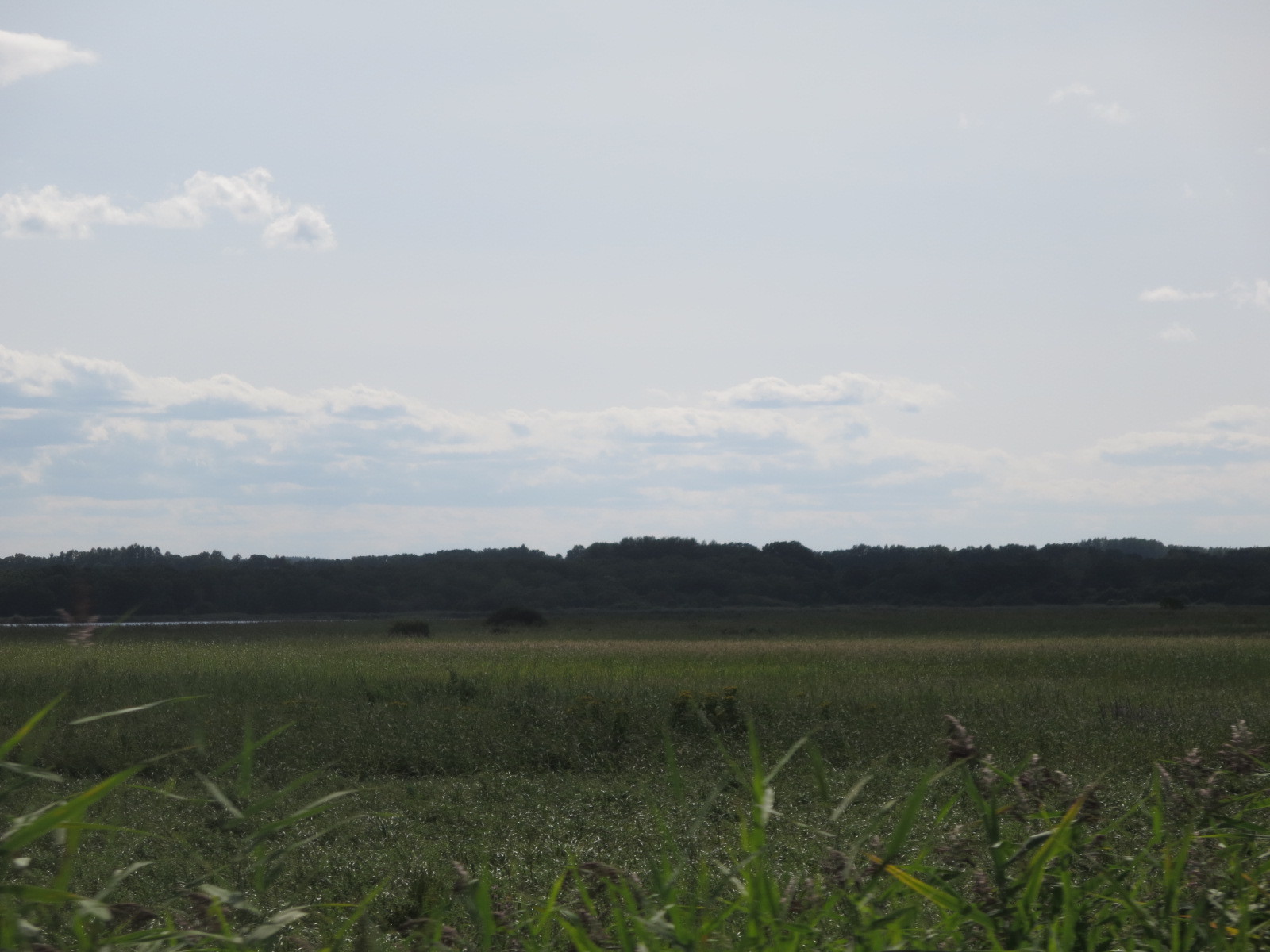 f0013998_08481199.jpg