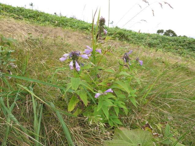 f0013998_09173406.jpg