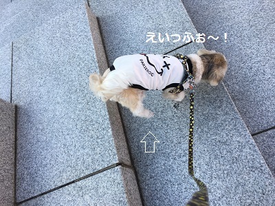 f0372998_20334696.jpg