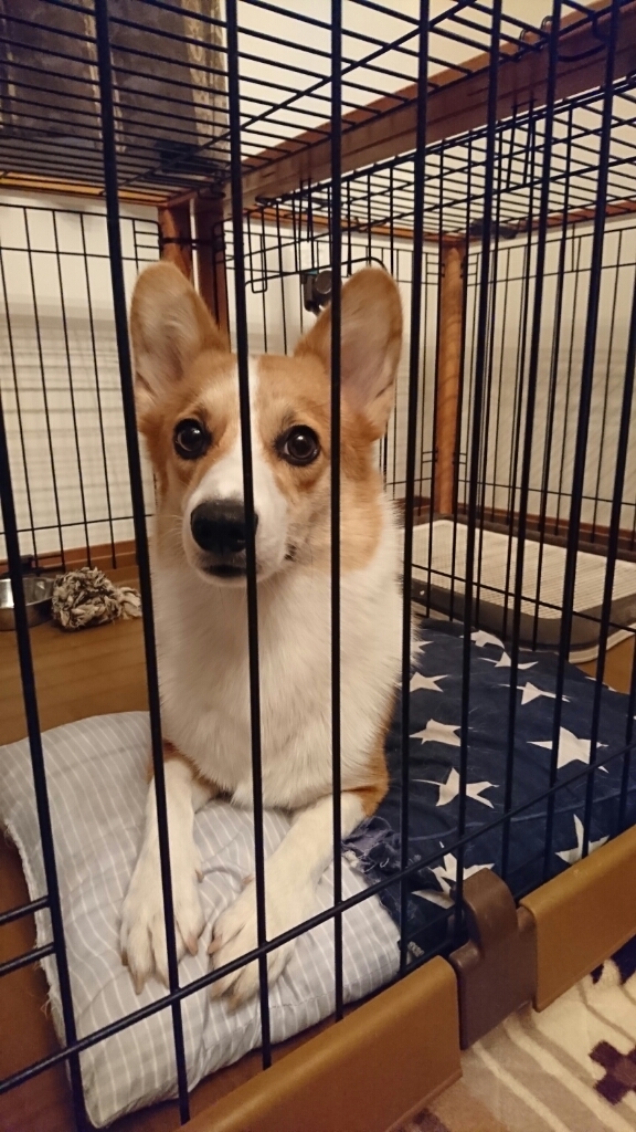 f0371101_20131789.jpg
