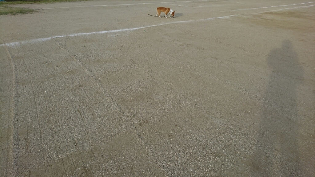 f0371101_20131940.jpg