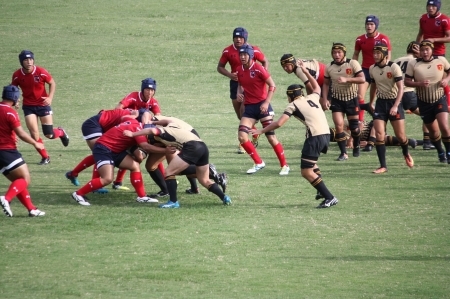 d0118807_23315311.jpg