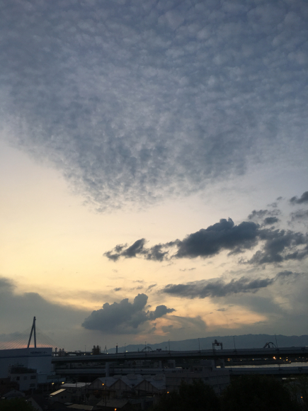 a0098418_16233435.jpg