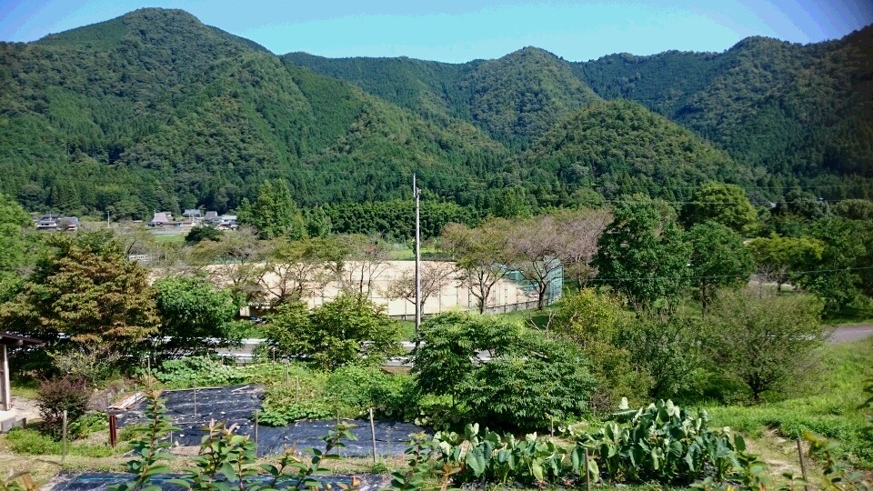 c0221718_17243500.jpg